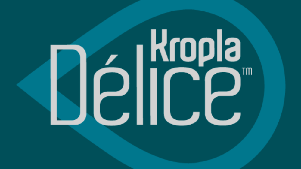 Kropla Beskidu gazowana 250 ml